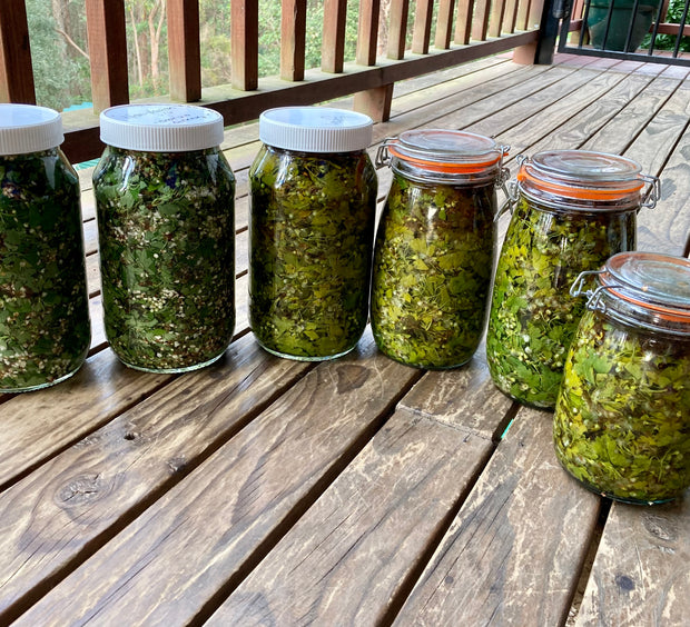 Banner image for: <h1>Home Healer Course</h1>