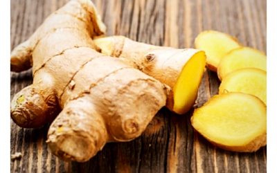 Ginger –  Herbal Relief for Nausea, Travel Sickness, Coughs and Colds